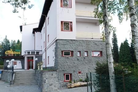 Hotel Manes Svratka Bagian luar foto
