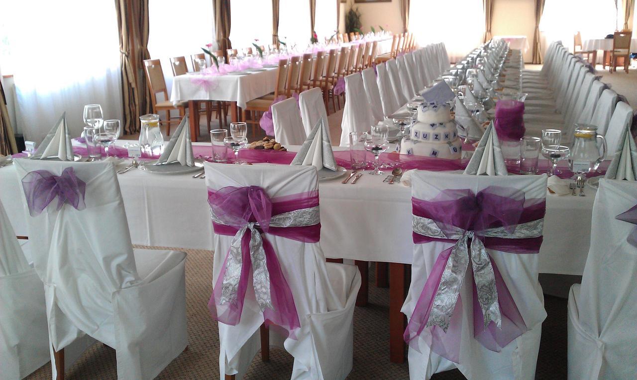 Hotel Manes Svratka Bagian luar foto