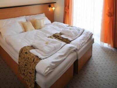 Hotel Manes Svratka Bagian luar foto