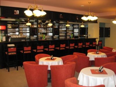 Hotel Manes Svratka Bagian luar foto