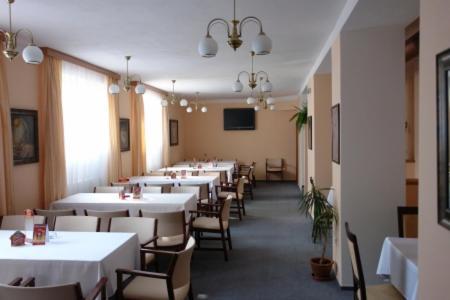 Hotel Manes Svratka Bagian luar foto